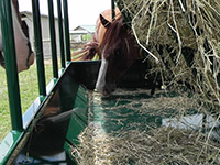 Diller hay saving horse feeders
