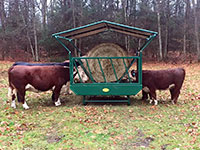 Cattle Hay Feeder on Skids